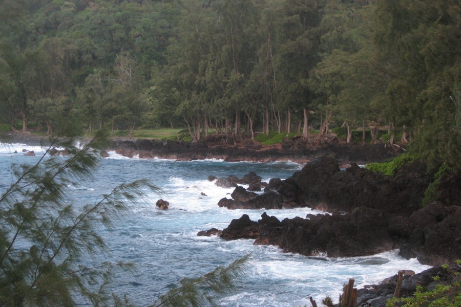 ../image/laupahoehoe point 14.jpg